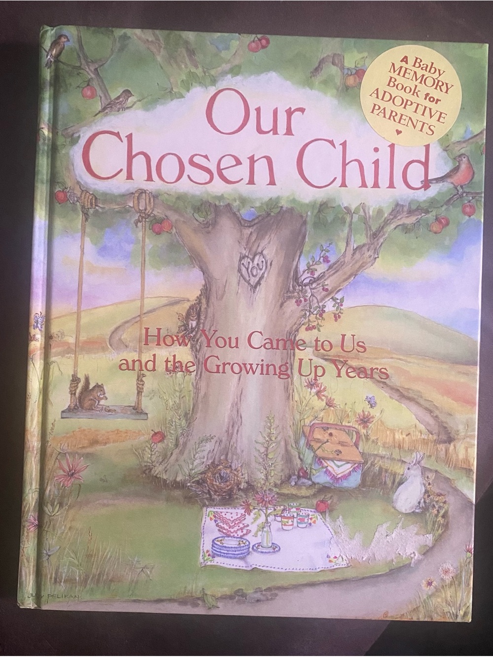 Our Chosen Child- A memory book for adoptive parents